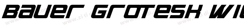 Bauer Grotesk W1G Me字体转换